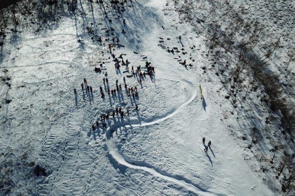 Где найти рабочую ссылку на кракен