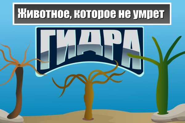 Ссылка на кракен тг