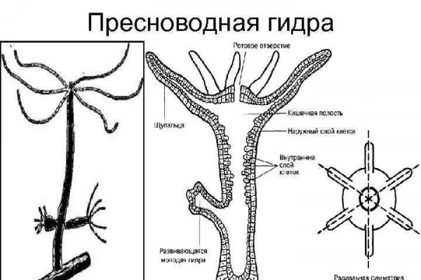 Кракен krakens13 at